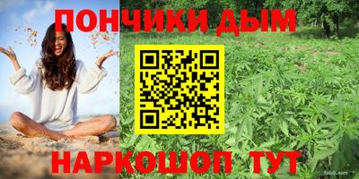 индика Кимры