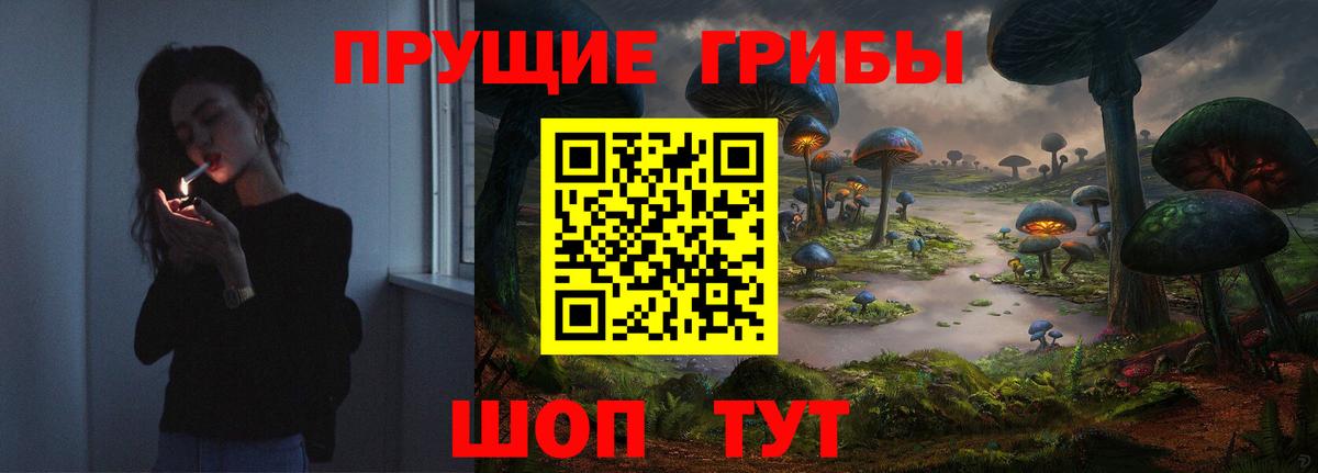 Псилоцибиновые грибы Psilocybine cubensis  Вход с VPN  наркотики  Кострома 